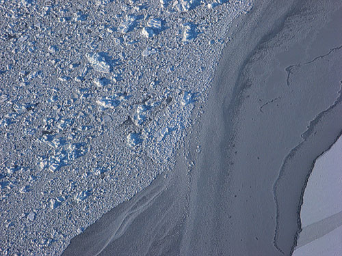 Sikut Iqimaniri (compacted drift ice; ice field)