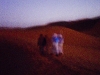 sahara_40