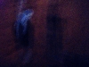 sahara_49-2