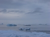 IMG_6860_2