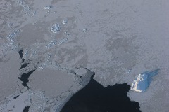 Studies In Sea Ice