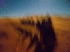 sahara_228_0
