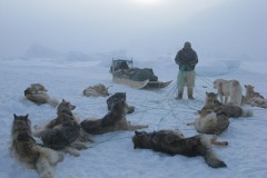 Arctic Ice-scapes