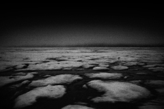 The Stillness Of Motion : Changing Polar Landscapes
